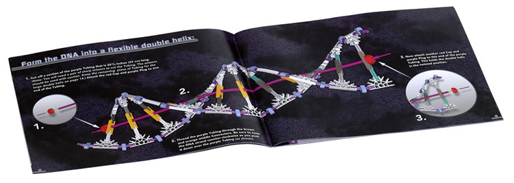 Instruction book image for K'NEX DNA, Replication and Transcription set
