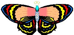 Butterfly challenge